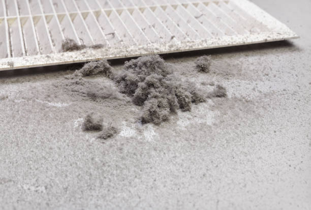 Best Professional Duct Cleaning Services  in Norwood, NY